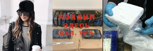 сатива Касимов