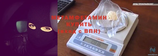 ПСИЛОЦИБИНОВЫЕ ГРИБЫ Каменногорск