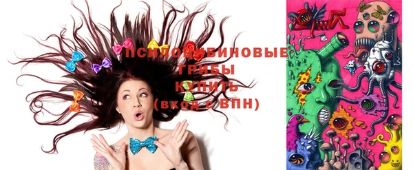 ПСИЛОЦИБИНОВЫЕ ГРИБЫ Каменск-Шахтинский